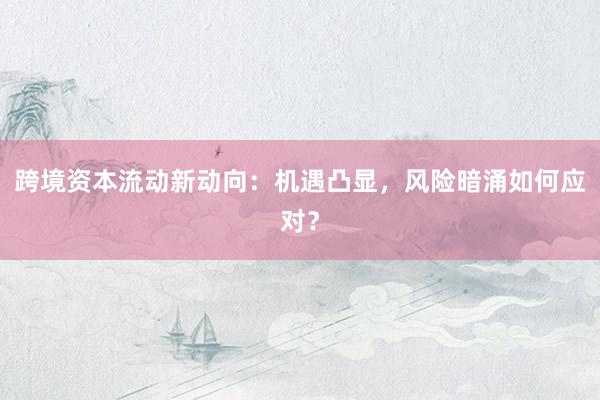 跨境资本流动新动向：机遇凸显，风险暗涌如何应对？