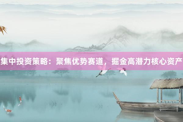 集中投资策略：聚焦优势赛道，掘金高潜力核心资产